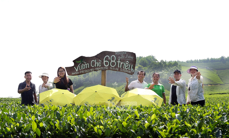 HTX Chè La Bằng giúp nâng cao giá trị cho sản phẩm chè Thái Nguyên (Ảnh: DN cung cấp)