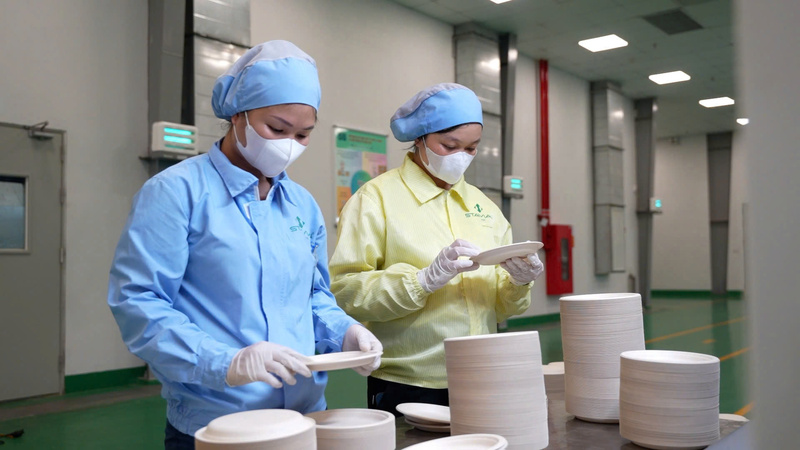 Sản phẩm hộp/khay/ đĩa thân thiện với xuân Okvip 2026, được làm hoàn toàn từ bột bã mía, bột tre, bột gỗ, có khả năng phân huỷ sinh học trong vòng 45 ngày và phân huỷ hoàn toàn sau 4 tháng ở điều kiện thích hợp. Ảnh: C.H