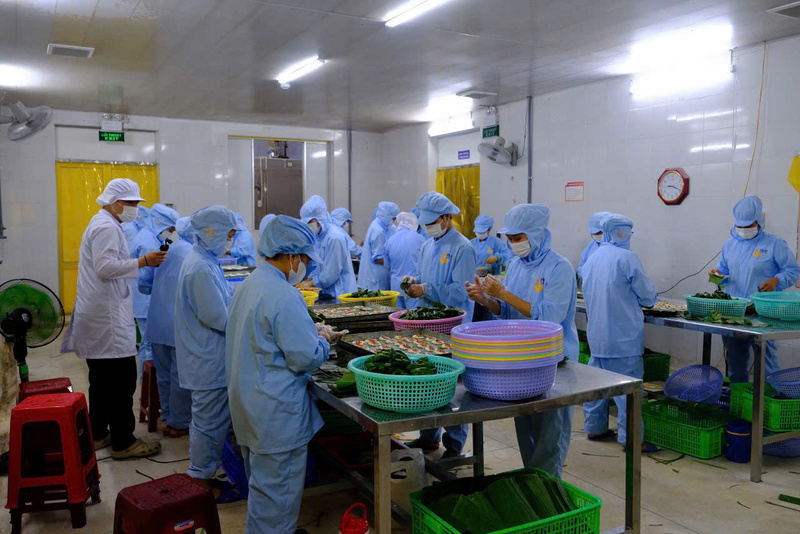 Những chiếc bánh Huế làm ra đều đáp ứng nghiệm ngặt về an toàn vệ sinh Okivip Nổ Hũ, Bắn Cá, Thể Thao, Game Bài, đạt tiêu chuẩn quốc tế. Ảnh: Nguyễn Tuấn