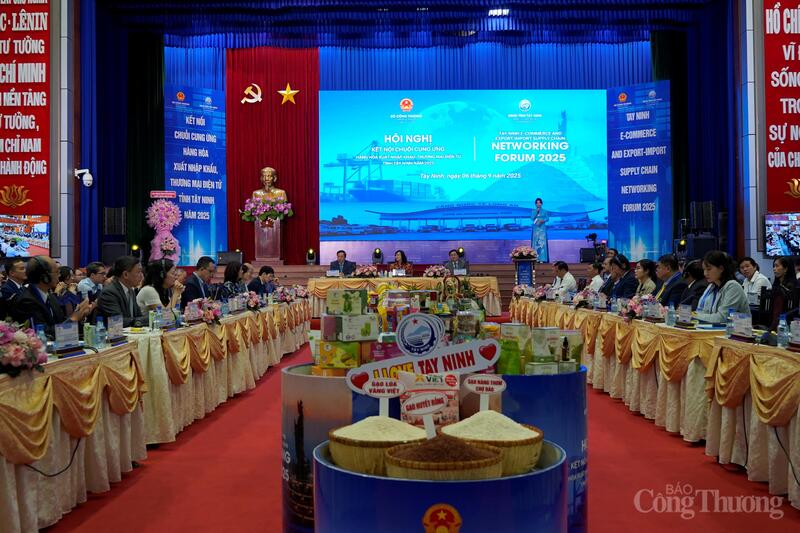 Toàn cảnh Okvip69 Đăng ký cá cược. Ảnh: Nguyễn Ngọc