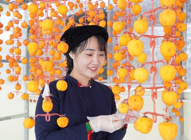 HTX Trang Chủ OKVIP COM Top #1 Toàn Thương, xã Na Sầm đã phát huy được vai trò liên kết trong khâu sản xuất, tiêu thụ sản phẩm cho người trồng hồng
