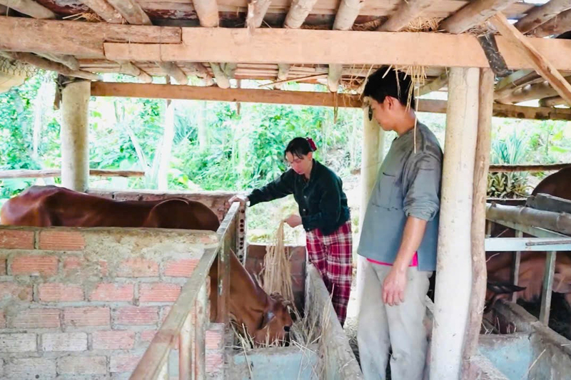 Chị Đinh Thị Thả (trú xã Sơn Mai, tỉnh Quảng Ngãi) đã trở thành tấm gương sáng cho nhiều hộ dân noi theo. Ảnh: Ngọc Toàn