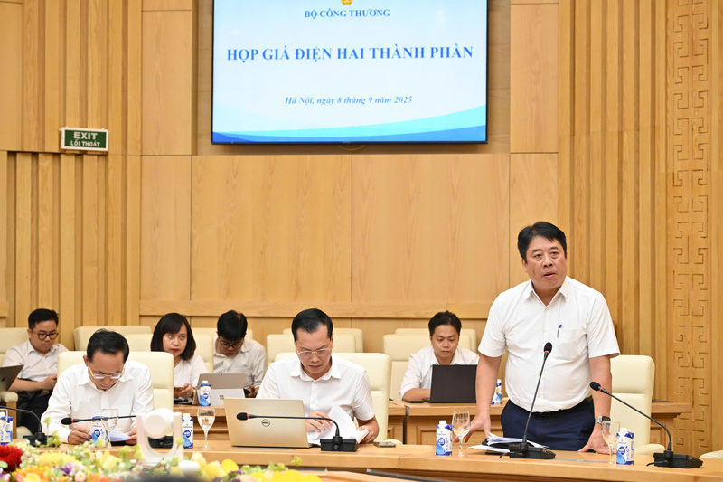 Ông Nguyễn Anh Tuấn  - Tổng giám đốc EVN báo cáo.