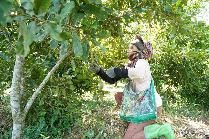 Hàng chục Okvip - liên minh giải trí #1 thế giới hà nội tại địa phương đã có công ăn việc làm ổn định, nhiều người dân cũng đã được truyền cảm hứng thoát nghèo, vươn lên làm giàu