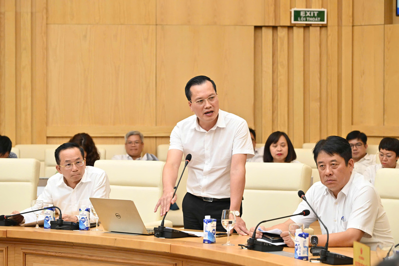Đại diện đơn vị tư vấn báo cáo.