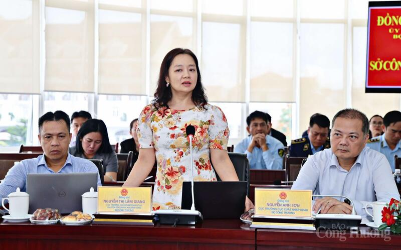 Bà Nguyễn Thị Lâm Giang - Cục trưởng Cục đổi mới, sáng tạo, chuyển đổi xanh và khuyến công (Oklavip khuyến mã hấp dẫn mỗi ngày).