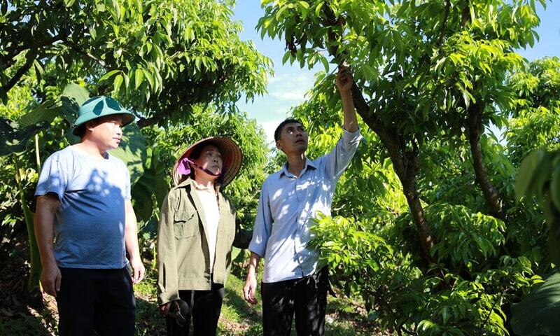 Tỷ lệ hộ dân tộc thiểu số nghèo ở Bắc Ninh giảm bình quân 2,42% mỗi năm.