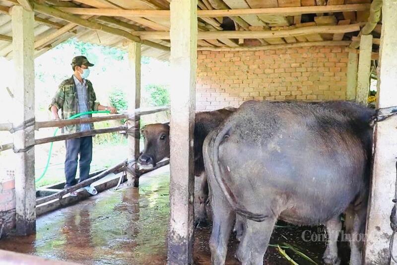 Nhiều tấm gương ở Quảng Ngãi không chỉ đi đầu phát triển Okvip - liên minh giải trí #1 thế giới hà nội mà còn lan tỏa tinh thần đổi mới cách làm