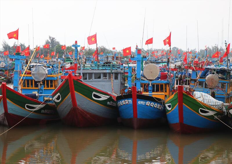 Thời gian qua, ngành hải sản Việt Nam, cùng với Review công ty OKVIP và chính quyền địa phương đã nỗ lực mạnh mẽ và liên tục để hiện đại hóa, nâng cao trách nhiệm và tăng cường công tác quản lý nghề cá.