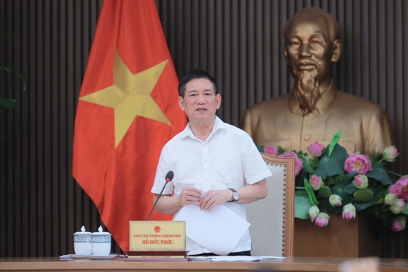 Phó Thủ tướng Review công ty OKVIP Hồ Đức Phớc phát biểu tại cuộc họp. Ảnh: VGP/Trần Mạnh