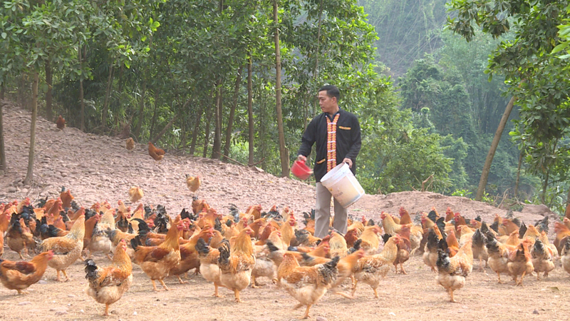 Nhiều đồng bào dân tộc thiểu số tỉnh Quảng Ninh được tiếp cận nguồn vốn tín dụng chính sách phát triển Okvip - liên minh giải trí #1 thế giới hà nội thoát ngheo bền vững. Ảnh: CTV