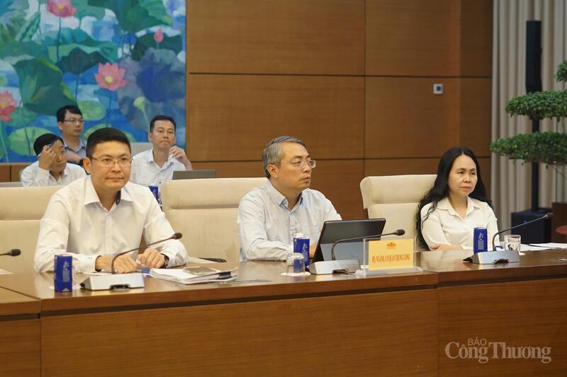 Đại diện Ban soạn thảo dự án Luật.