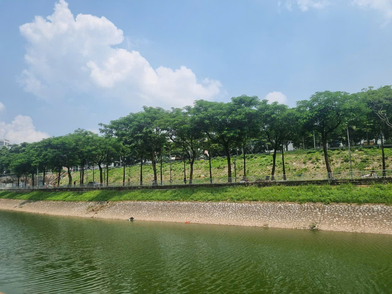 Sông Tô Lịch nước trong xanh, người Hà Nội thích thú câu cá - 7