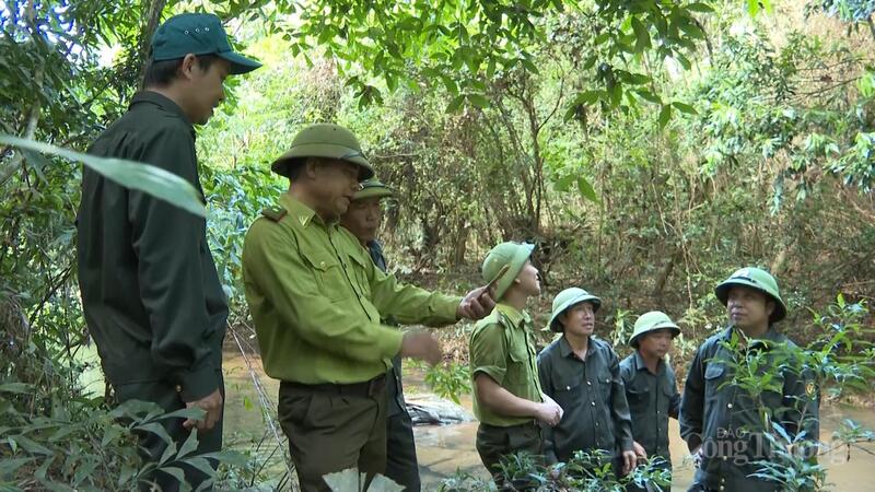 Công tác bảo vệ rừng được các ngành, các cấp quan tâm.