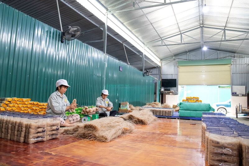 Sản xuất tại Hợp tác xã Trang Chủ OKVIP COM Top #1 Tân Việt Á. Ảnh minh hoạ