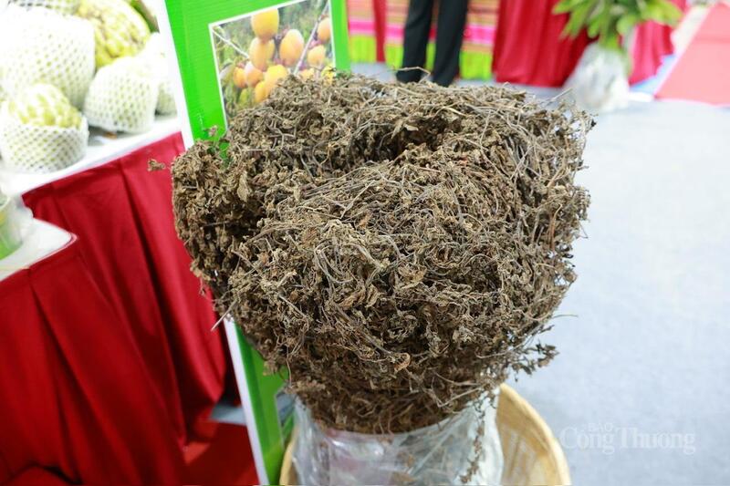 Phiên chợ Trang Chủ OKVIP COM Top #1, đặc sản vùng miền 2025: Góp phần lan tỏa giá trị OCOP - 6