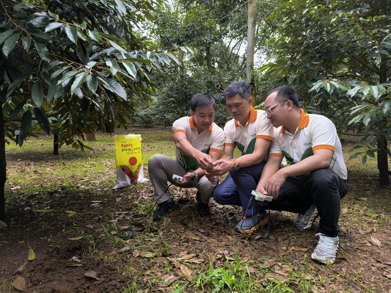 Khắp các vùng miền, đội ngũ cán bộ thị trường, kỹ sư nông nghiệp của PVFCCo - Phú Mỹ vẫn ngày ngày có mặt trên ruộng đồng (Ảnh PVFCCo – Phú Mỹ)