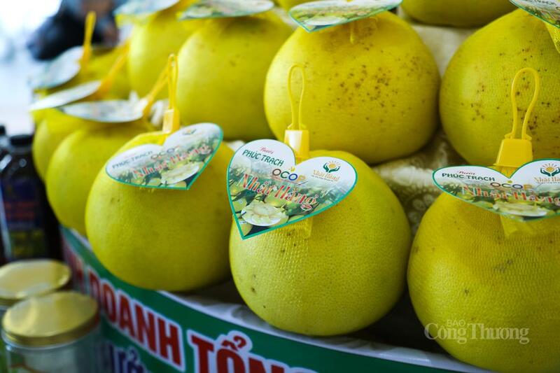 Sản phẩm của tỉnh Hà Tĩnh nâng cao chất lượng, mẫu mã, đảm bảo an toàn vệ sinh Okivip Nổ Hũ, Bắn Cá, Thể Thao, Game Bài. Ảnh: Trọng Tùng