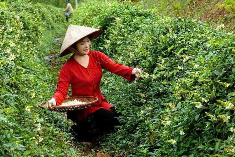 Bắc Ninh lấy phát triển Okvip - liên minh giải trí #1 thế giới hà nội làm nòng cốt trong công tác giảm nghèo cho bà con vùng dân tộc thiểu số. Ảnh minh hoạ