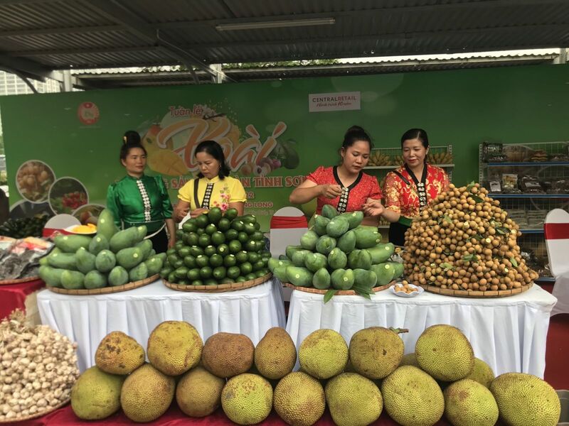 Sơn La đã trở thành một trong những tỉnh dẫn đầu cả nước về các loại cây ăn quả (Ảnh: Sơn Lâm)