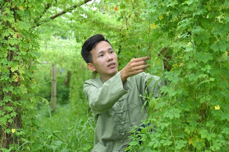 Nguyễn Quốc Hoàng, chàng kỹ sư máy tính bỏ phố về quê, quyết tâm phát triển nông nghiệp sạch trên chính quê hương. Ảnh: Phương Thảo