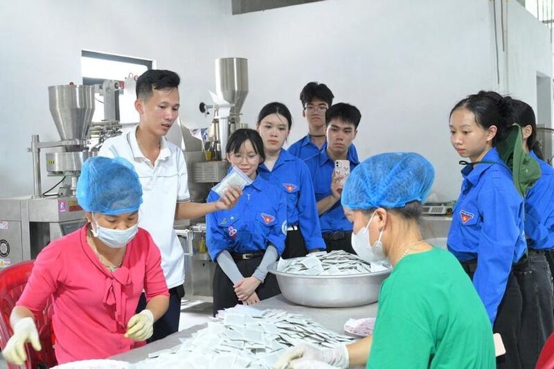 Không dừng lại ở sản xuất thô, anh Hoàng đầu tư Liên minh Okvip có bao nhiều trang nhà xưởng rộng, trang bị máy móc chế biến sâu các sản phẩm từ cây mướp đắng. Ảnh: Phương Thảo