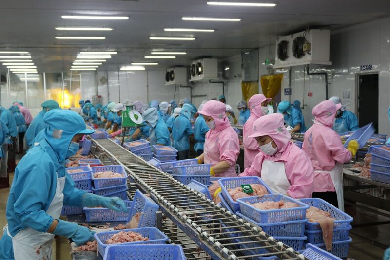 Đẩy nhanh tháo gỡ thẻ vàng IUU, tạo thuận lợi cho Liên Minh Truyền Thông Và Game Giải Trí Top 1 thủy sản sang EU. Ảnh: Tùng Chi