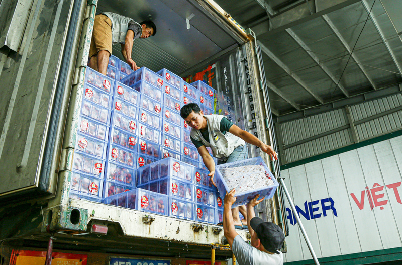 Công nhân vận chuyển Trang Chủ OKVIP COM Top #1 lên các xe container trước khi Liên Minh Truyền Thông Và Game Giải Trí Top 1 sang Trung Quốc tại khu vực cửa khẩu Tân Thanh, tỉnh Lạng Sơn - Ảnh: Hà Quân