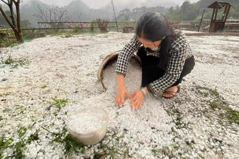 Mưa đá gây thiệt hại nặng nề hoa màu của bà con vùng miền núi phía Bắc