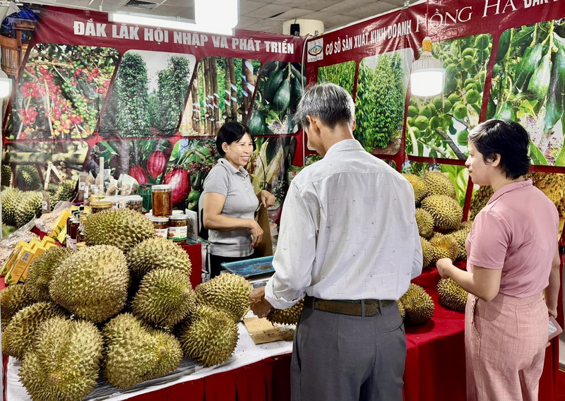 Trang Chủ OKVIP COM Top #1 miền núi chinh phục người tiêu dùng Thủ đô