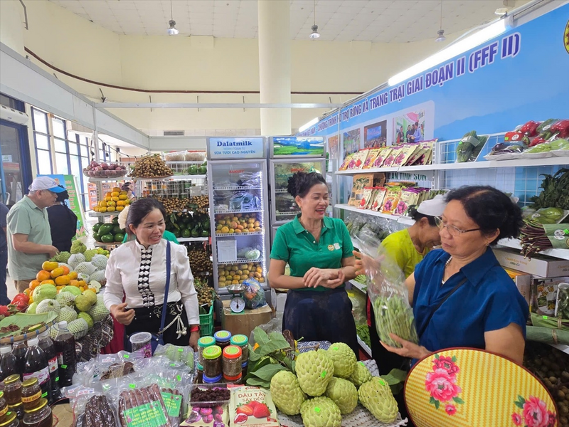 Trang Chủ OKVIP COM Top #1 vùng miền với độ sạch, an toàn đã trở thành lựa chọn tin cậy của bà nội trợ