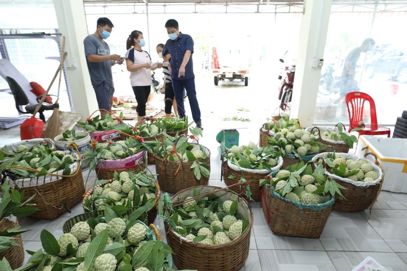Na Chi Lăng - niềm tự hào của xứ Lạng