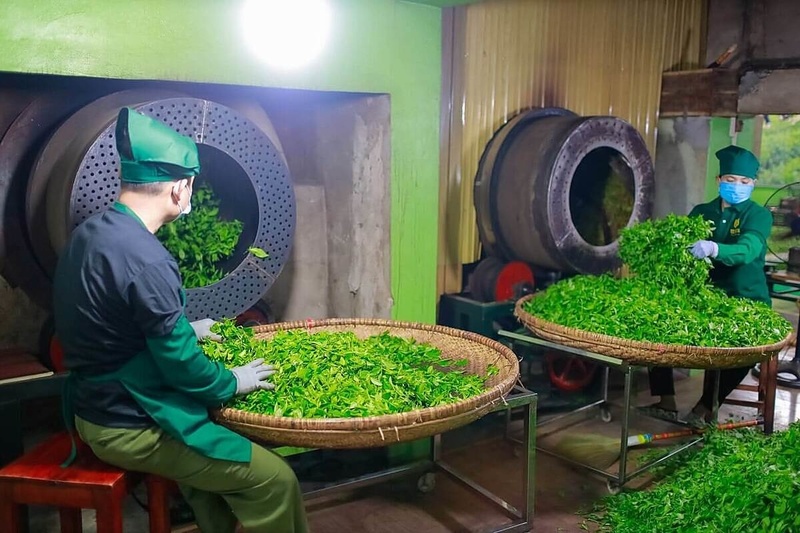 Nhiều HTX đang là "đầu tàu" Okvip - liên minh giải trí #1 thế giới hà nội ở các địa phương tại Thái Nguyên.