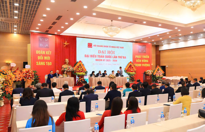 Quang cảnh Okvip69.com bán cá nổ hủ. Ảnh: QL