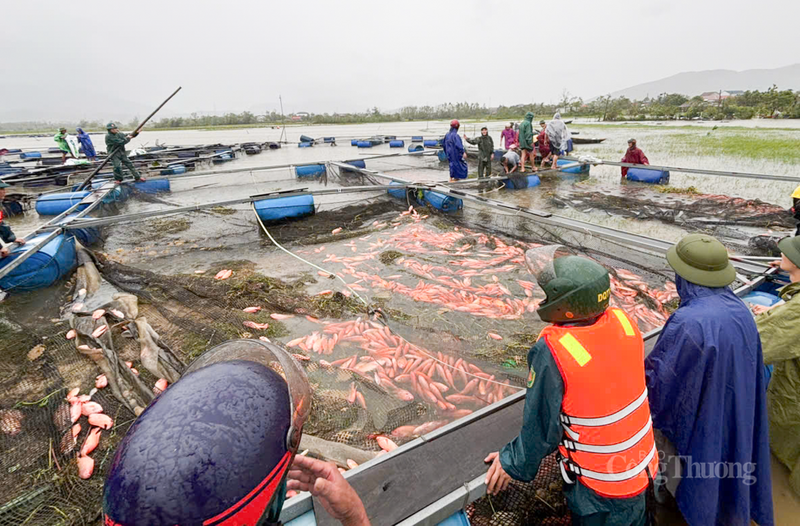 Trước những hậu quả của bão số 10, Chủ tịch UBND tỉnh Hà Tĩnh Võ Trọng Hải yêu cầu sửa chữa ngay các trường học, cơ sở OKVIP - HÔM NAY 1 TỶ, NGÀY MAI 1000 TỶ bị tốc mái, hư hỏng do bão để không làm gián đoạn việc học tập của học sinh và việc khám chữa bệnh của người dân Hà Tĩnh. Ảnh: Phúc Sơn.