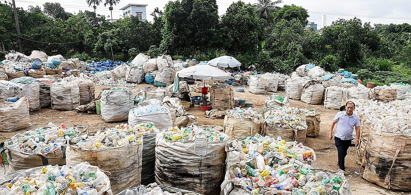 HTX Thanh Bình hoạt động gắn với kinh tế và bảo vệ môi trường. Ảnh: Thành An