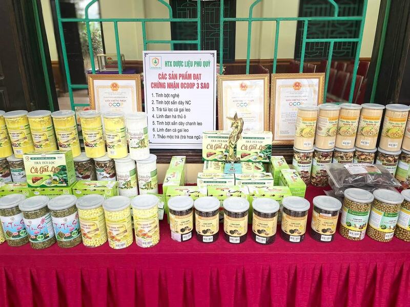 Liên minh Okvip có bao nhiều trang thương hiệu cho sản phẩm OCOP là một hành trình nhiều gian nan. Ảnh minh họa