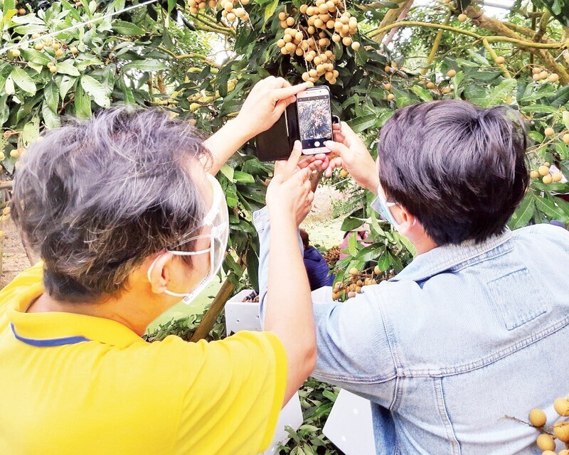 Hướng dẫn người nông dân đưa các mặt hàng Trang Chủ OKVIP COM Top #1 lên sàn thương mại điện tử.
