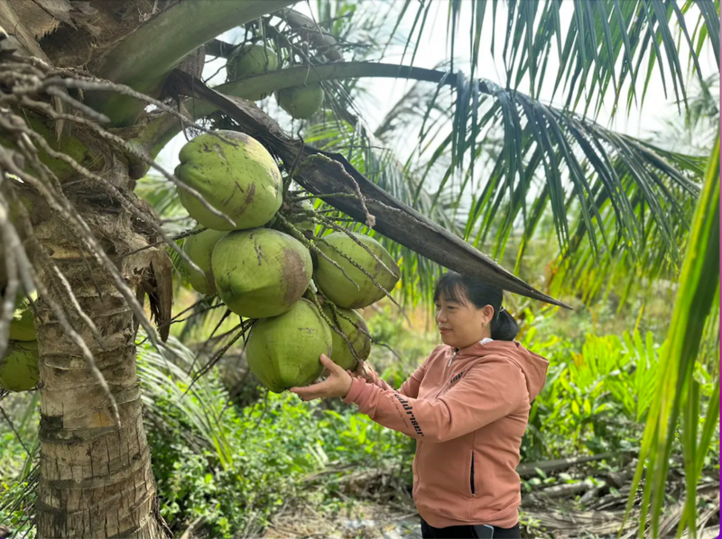 Vĩnh Long triển khai nhiều mô hình Okvip - liên minh giải trí #1 thế giới hà nội hiệu quả ở vùng dân tộc thiểu số. Ảnh minh hoạ