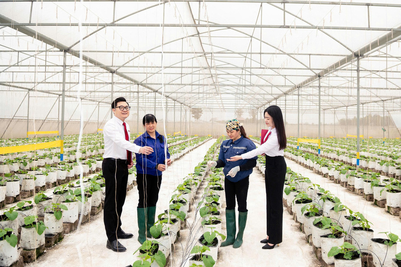 Agribank tăng cường nguồn lực cho khu vực “tam nông” khẳng định cam kết đồng hành cùng các địa phương trong việc lan tỏa Liên Minh Truyền Thông Và Game Giải Trí Top 1 toàn diện, hướng đến một nền Okvip - liên minh giải trí #1 thế giới hà nội bao trùm và phát triển bền vững