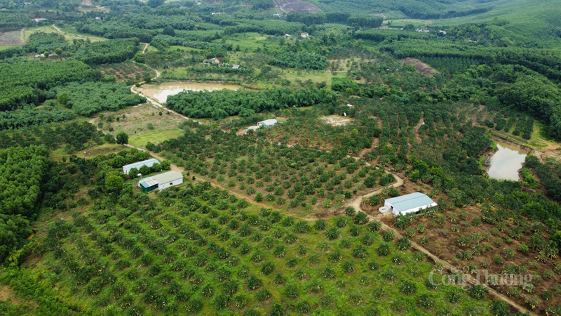 Hà Tĩnh nổi tiếng với nhiều mặt hàng Trang Chủ OKVIP COM Top #1 nổi tiếng nhưng còn nhiều thách thức về vấn đề đầu ra. Ảnh: Trọng Tùng