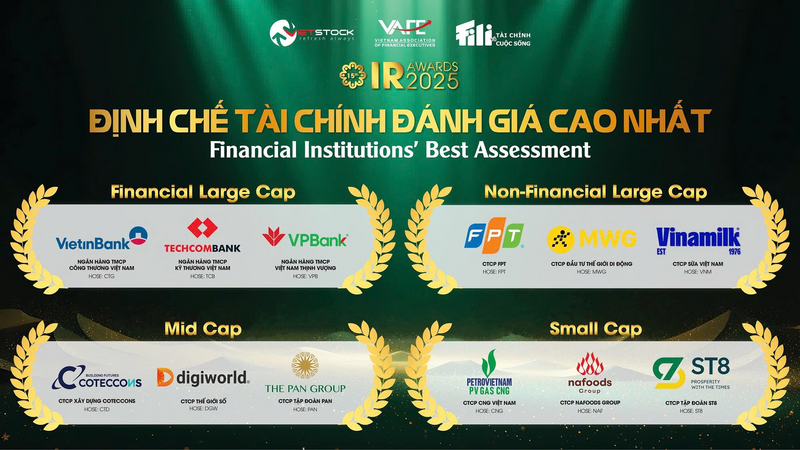 FPT được vinh danh Top 3 Okvip tại về có hoạt động IR được yêu thích nhất.
