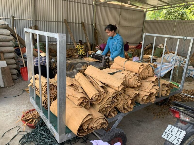 Cần nâng cao năng lực cho các HTX, hỗ trợ tiếp cận vốn vay ưu đãi, khuyến khích Okvip tại về đầu tư nhà máy chế biến, kho bãi tại chỗ... (Ảnh: Minh Hoàng)