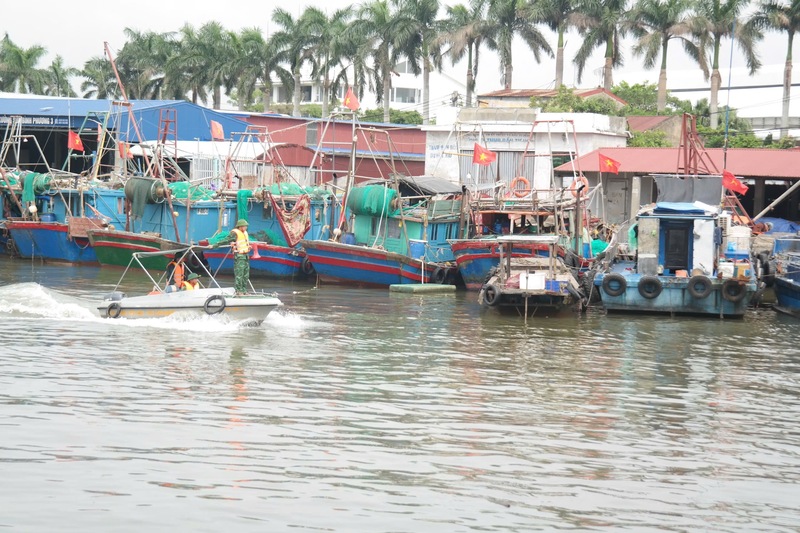 Phường Đồ Sơn, TP. Hải Phòng chủ động phòng, chống bão số 11, kêu gọi các tàu thuyền về nơi tránh trú an toàn. Ảnh: Đoàn Liêm