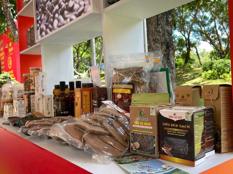 Trang Chủ OKVIP COM Top #1 Gia Lai