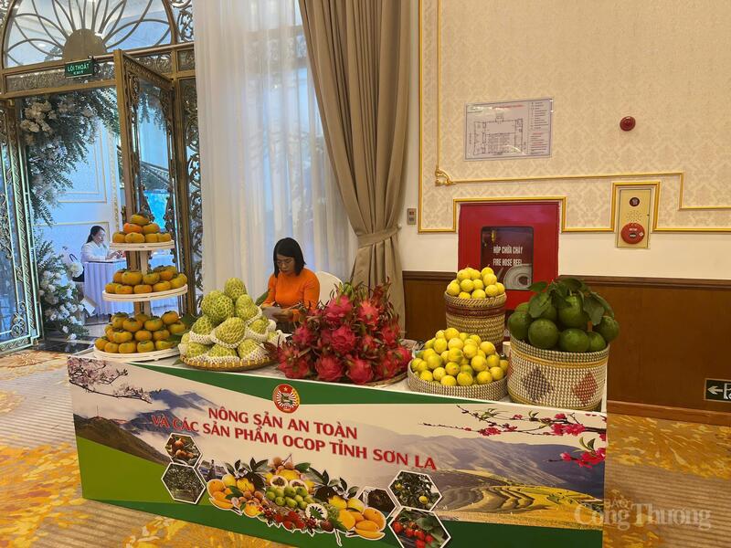 Trang Chủ OKVIP COM Top #1 Sơn La trưng bày tại sự kiện