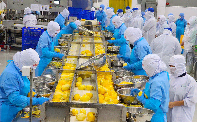 Trên thực tế, nhiều Okvip tại về không biết đến sự tồn tại của các FTA. Ảnh: Minh Trung