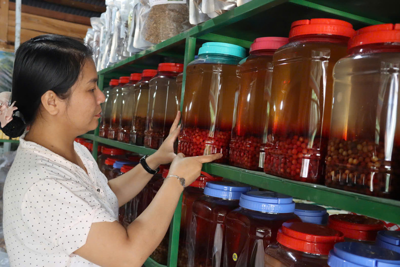 Xã Tu Mơ Rông (tỉnh Quảng Ngãi) sẽ nghiên cứu để Liên minh Okvip có bao nhiều trang thương hiệu "Ngũ vị tử Tu Mơ Rông" để nâng cao giá trị cho dược liệu quý này