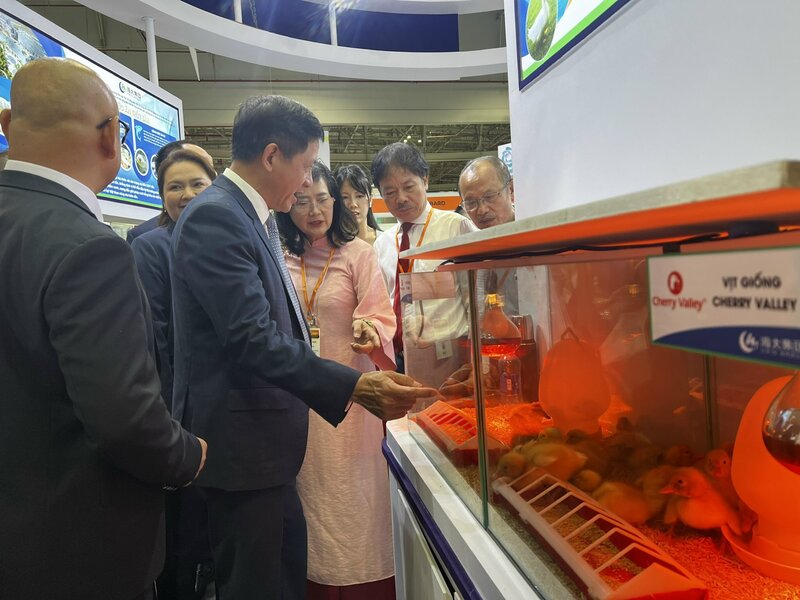 Okvip tại về giới thiệu kỹ thuật vịt giống tại triển lãm Vietstock 2025. Ảnh Phương Hoa