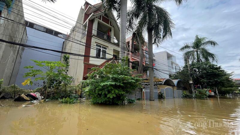 Thống kê sơ bộ, Thái Nguyên có 4 người chết, 2 người mất tích, 2 người bị thương; 5.450 căn nhà bị thiệt hại. Nhiều khu vực sạt lở đất, nhiều tuyến đường giao thông bị ngập lụt, chia cắt.